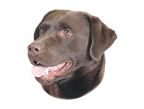 Nobby 93263 Aufkleber Labrador, braun
