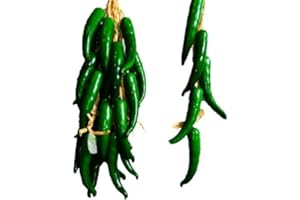 CALCIFER calcfifer Artificial frutas verduras Cadena para restaurante Hotel casa jardín decoración pantalla