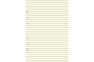 OBERTHUR - Recharge Organiseur 21-30 feuillets répertoire - 15x21cm