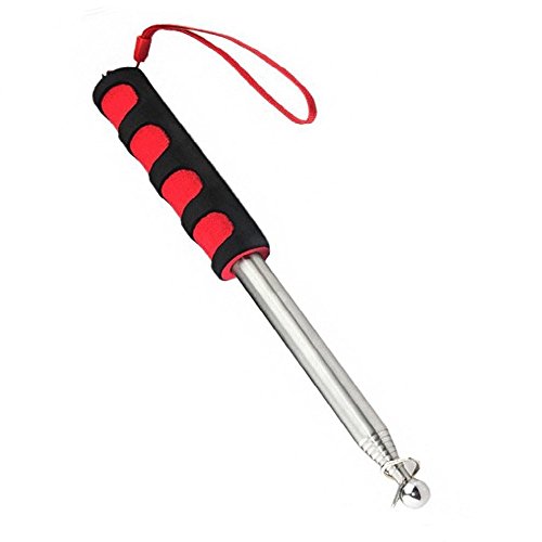 Buy Homgaty 2M Telescopic Guide Pole,Stainless Steel Handheld Guide Rod