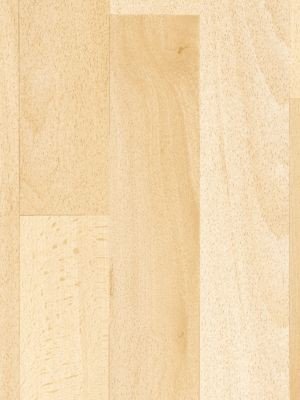 Preisvergleich Produktbild Profilor Hit PVC-Boden Buche hell CV-Belag Bella