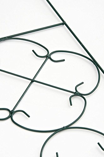 CLP Pflanzen Metall-Rankgitter SALERNO, Größe ca. 125 x 30 cm, Stabstärke der Rankhilfe 0,5 – 1 cm, massiv grün - 5