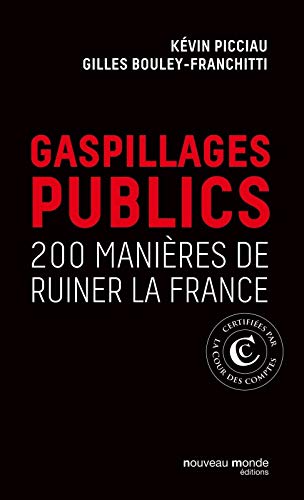 Télécharger Gaspillages publics: 200 manières de ruiner la France livre En ligne