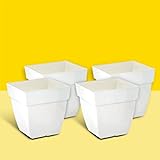 Kraft Seeds by 10CLUB Plastic Flower Pots - 4 Pcs (10 Inch, White) | Plant Pots for Home Gardens | Planters for Nursery | Dur