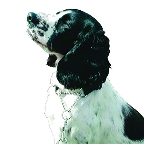 Kumfi Canine Kumfi Kombi Collar M