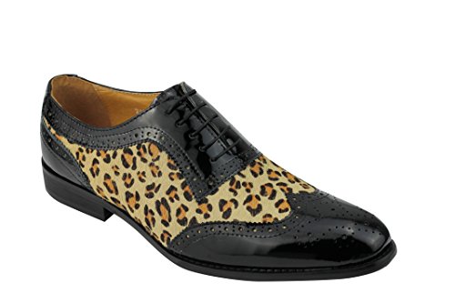 « Click to Enlarge and to go to Amazon »