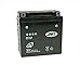 Produktbild Batterie JMT Gel JMB9-B / 12N9-4B1 / 12N9-BS für Vespa Cosa 200 CLX E-Start Bj. 1988-1990 - inkl. 7,50 EUR Batteriepfand