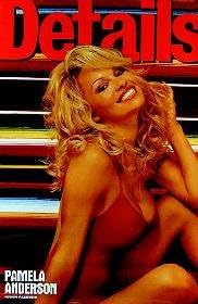 PAMELA ANDERSON Poster - US ONE SHEET - ORIGINAL CINEMA POSTER 24x36 inches (61x91cm) approx.