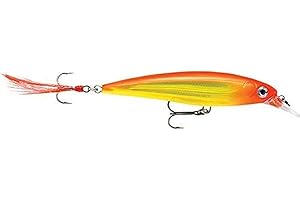 Rapala X-Rap 10 Fishing Lure