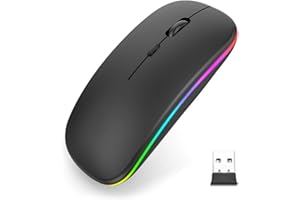 NHQZ Mouse Bluetooth Wireless Compatibile con Laptop/Macbook/iPad/iPhone (iOS 13.1.2 e successiva) Mini Mouse Ricaricabile 3DPI Regolabile Bluetooth4.0(e)
