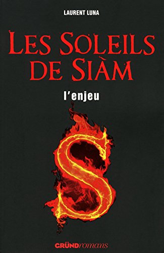 couverture de : L'enjeu