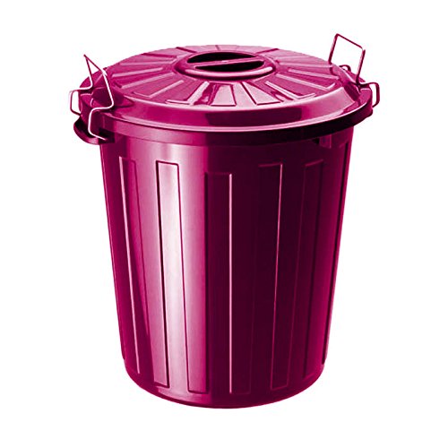 Rotho 78460KS0KS Universaltonne 25 L, pink