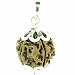 Rudraksha 5 Mukhi NEPALI RUDRAKSHA SILVER PENDANT 100% Original & Certified Five Faced RUDRAKSHA PENDANT BY Arihant Gems and Jewels RS.799.00