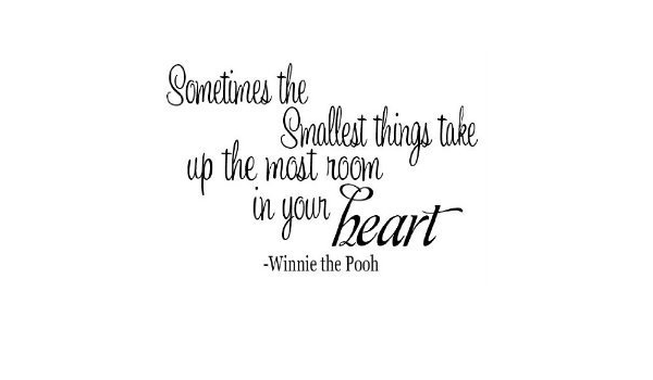 Sometimes The Smallest Things Quote Wheeler3Designs Winnie Puuh Zitat Sometimes The Smallest Things, 18 X 11 Cm  : Amazon.de: Baumarkt