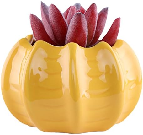Greencherry(TM) Cute Small Ceramic Pumpkin Shape Minimalist Design Succulent Container/Planter / Cactus Plant Pot / Decorative Flower Pots - YELLOW
