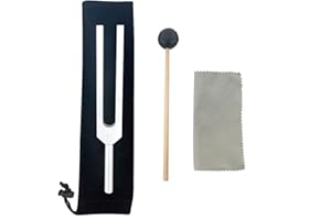 N\B 528 HZ Stimmgabel für Heilung Diapason Chakra Stimmgabel DNA Reparatur Gehirn Körper Geräusch Heilinstrumente Medivibe Stimmgabeln Solfeggio Frequenzen 528Hz Ungewichtet