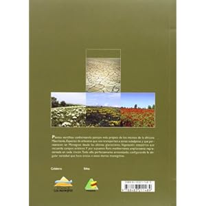 Arboles y arbustos de los monegros (Guias De La Naturaleza)