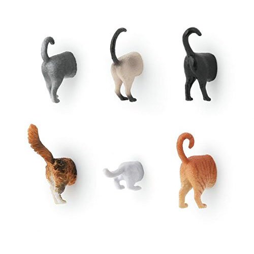 Kikkerland Cat Butt Magnete