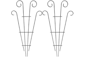 MTB SUPPLY MTB Silver Coated Wave Pot Trellis Panel 31'' Plant Stakes for Climbing Plants (Pack of 2)，Plant Support