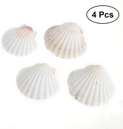 BESTONZON pcs Beach Sea Shells 9-14 cm Shell Dish for Home DIY Crafts Gifts Aquarium Fish Tank Decor
