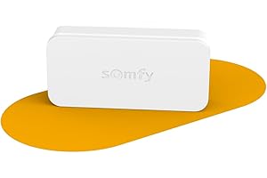 Somfy 2401487 - IntelliTAG - Détecteur auto-protégé de vibration pour intérieur ou extérieur - Détection avant l'ouverture - Compatible One (+) & Home Alarm (Advanced et Essential)