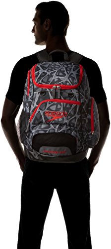 Die Beste Speedo Teamster Backpack Gunstig Shoppen - spf4v speedo