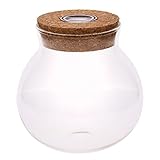 La jarra de cristal con un LED Corcho es ideal para DIY marimo Acuario haciendo.