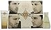 Westlife With Love by Westlife Eau de Toilette Spray 100ml & Body Lotion 150ml
