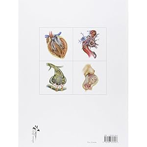 Atlas d'anatomie humaine Livre en Ligne Atlas d'anatomie humaine Livre en Ligne - Telecharger Ebook