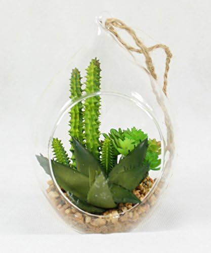 Mini Cactus in Glass Tear, Artificial Succulent Arrangement for Home & Office #2