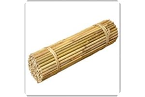 SCOT PLANTS DIRECT 6ft Bamboo Canes 12-14mm - Pack of 50 (a306)