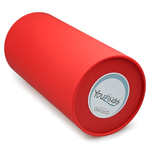 Design Messerblock „universal“ mit Borsteneinsatz aus Kunststoff, unbestückt, Block für Messer 22,5cm Höhe, Farbe rot, Marke YOUZiNGS - 3