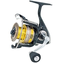 Ryobi vernum 4000 5 + 1