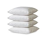 GOLD STERN 4 x Polyester Vlies Füllkissen, Inlett Kissen 60° Waschbar, Für Dekokissen, Kopfkissen, Sofakissen (40 x 40 cm) GOLD STERN 4 x Polyester Vlies Füllkissen, Inlett Kissen 60° Waschbar, Für Dekokissen, Kopfkissen, Sofakissen (40 x 40 cm)