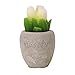 Produktbild trendaffe Tulpen Kerze mit Blumentopf in weiß -