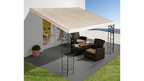 Preisvergleich Produktbild baumarkt direkt Anbaupergola Blätter 300 cm, 300 cm