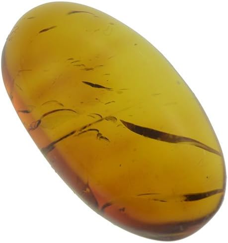 Gem gemstone DOMINICAN REP. NATURAL AMBER in CABOCHON OVAL 5.40ct. 20x11mm.