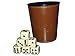 Produktbild KSS Würfelbecher spitzen Qualität + 6 Acryl Würfel 16mm in Braun bzw. Schwarz