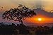 Produktbild Artland Qualitätsbilder I Wandbilder Selbstklebende Premium Wandfolie 90 x 60 cm Landschaften Afrika Foto Orange D7BY Sonnenuntergang in der Masai Mara in Kenia