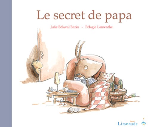 couverture de : Le secret de papa