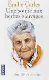Une soupes aux herbes sauvages