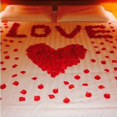 500 Stück/Set Rosenblüten, Rosenblätter, Blumenblätter aus Seide, Kunstblumen für Hochzeit Feier Deko, Valentinstag romatische Überraschung(rot, 1 Set) - 5