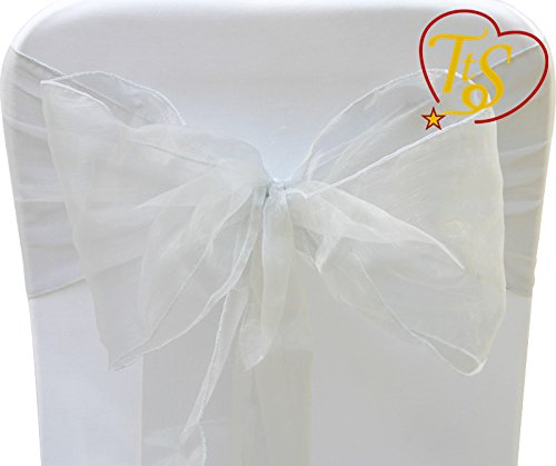 TtS 10X Organza Schleife 22cm x 280cm Stuhlhussen Stuhl Schärpe Band Organza Schleifenband -Light Silver - 2