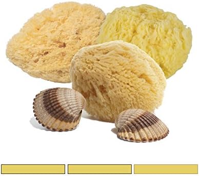 3 FacialCare Sea Sponges - Mediterranean Silk Sea Sponge - Bleached - Perfect for Cleansing Sensitive Skin - Eco-Friendly - Biodegradable. Pack of 12