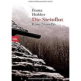 Die Steinflut: Eine Novelle