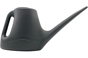 ANGIX 1L Watering Can for Indoor & Outdoor Plants - Small Watering Jug with Long Spout for Precise Watering - Ideal for Bonsai, Seedlings, Flowers & Greenhouses - Lightweight with Handle