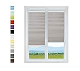 Cosimo kann alle Herausforderung annehmen. Cosimos natürliche Umwelt sind: das Badezimmer, das Büro, das Wartezimmer und selbst der Wintergarten.