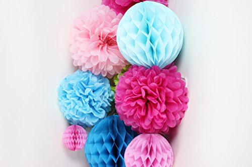 SUNBEAUTY 11er Set Deko Kombination Pink Rosa Blau Wabenbälle PomPoms - 9