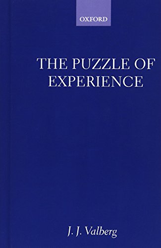 The Puzzle of Experience