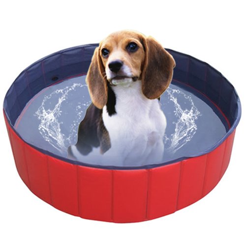 Hundepools und Hundeplanschbecken sommerliche Abkühlung für Hunde